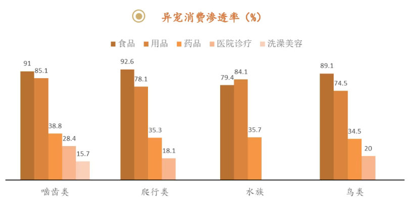 一天吃透一条产业链：宠物经济（千亿机遇）
