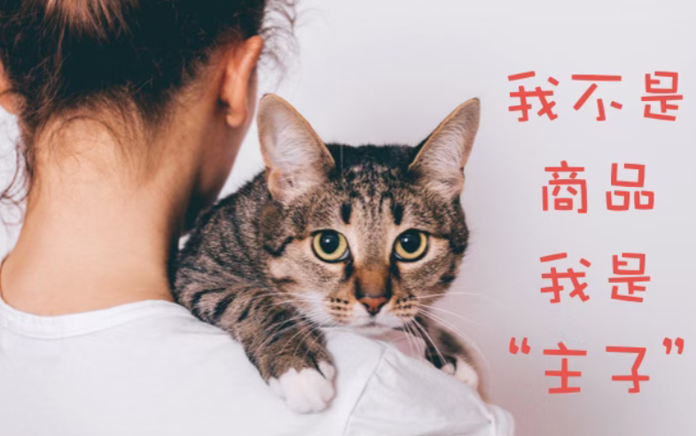 2026,赢得宠物市场将是 “手艺人”,而非“资本家” ! 2026,赢得宠物市场将是 “手艺人”,而非“资本家” !