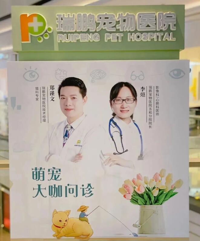 新瑞鹏旗下瑞鹏宠物医院转诊中心，解锁宠物疑难重症诊疗新方案