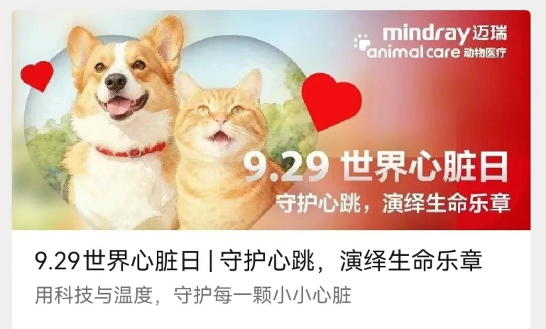 我曾以为兽医没前途,直到我走进【宠物经济】的真实世界 我曾以为兽医没前途,直到我走进【宠物经济】的真实世界