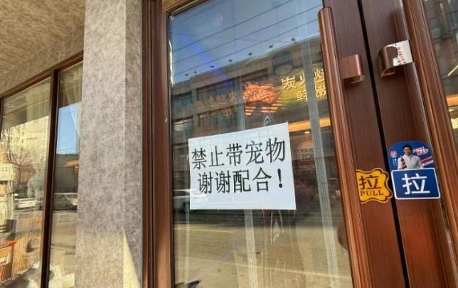 一烤肉店有顾客带狗上桌,店方:未触碰餐具 一烤肉店有顾客带狗上桌,店方:未触碰餐具