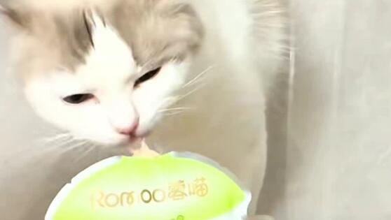 蓉喵Romoo猫粮适合哪些猫