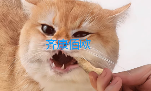 齐康佰欧有哪些优势