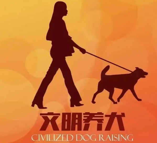 当“毛孩子”的代价由全社会买单，这真的是我们想要的发展吗？