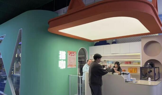 千平宠物商城日接待客流2万+,这位大厂前员工的“流量”新解 千平宠物商城日接待客流2万+,这位大厂前员工的“流量”新解