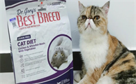 贝思比猫粮保质期一般多久