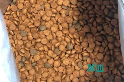 慕迪mooddelight狗粮好不好