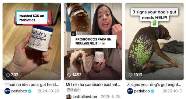 情感破局!PetLab Co.靠TikTok年销2亿美金,征服全球铲屎官 情感破局!PetLab Co.靠TikTok年销2亿美金,征服全球铲屎官