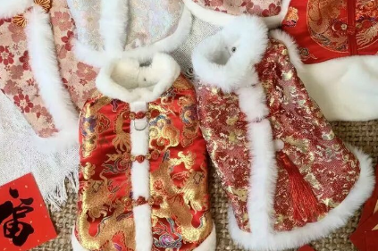 从“吃饱穿暖”到“仪式感拉满”,宠物消费趋向多元化 从“吃饱穿暖”到“仪式感拉满”,宠物消费趋向多元化