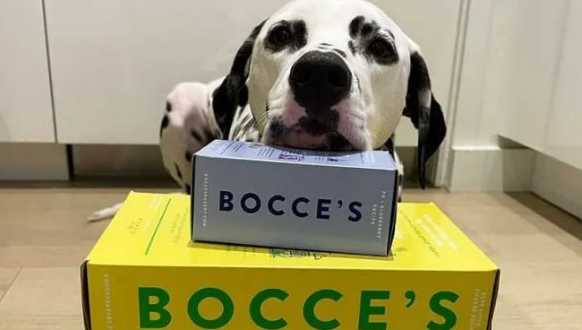 布奇Bocces狗零食哪个更值得买 布奇Bocces狗零食哪个更值得买