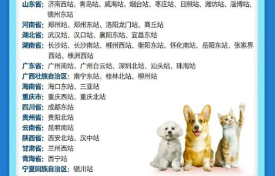 春运高铁宠物托运新增67城，毛孩子终于能陪我回家过年