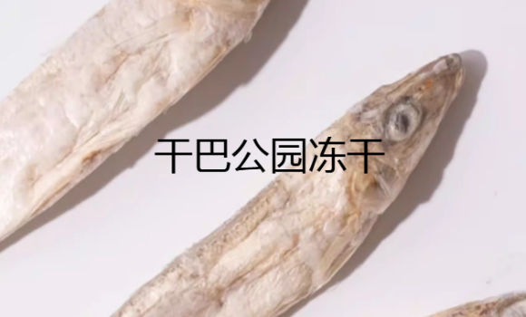 干巴公园冻干能不能吃 干巴公园冻干能不能吃