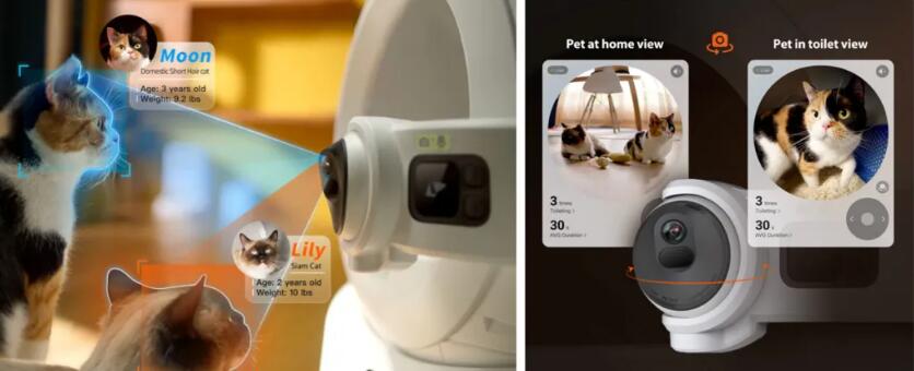 从“无人区”到断层第一，PETKIT小佩爆款炼成记