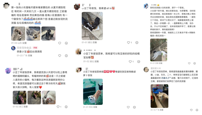 不谈促销只送温暖:拆解豆柴营销范例 不谈促销只送温暖:拆解豆柴营销范例
