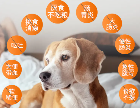 为什么真正能做好功能粮和处方粮的工厂并不多？