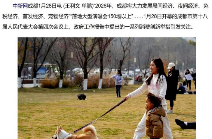宠物经济要起飞！赚钱也要拴好绳，别再说我家狗不咬人