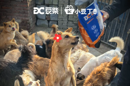 不谈促销只送温暖:拆解豆柴营销范例 不谈促销只送温暖:拆解豆柴营销范例