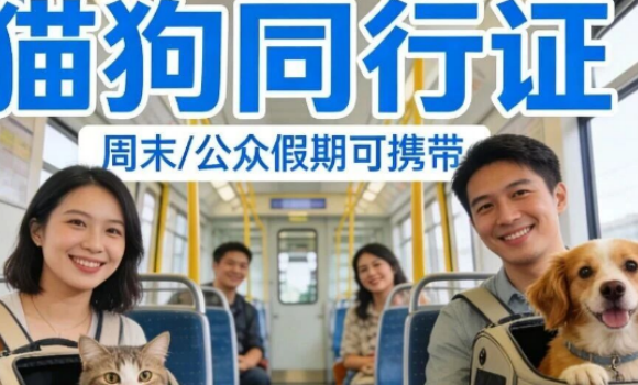 带宠坐地铁被拦？全国新规 + 例外清单，养宠人必看！