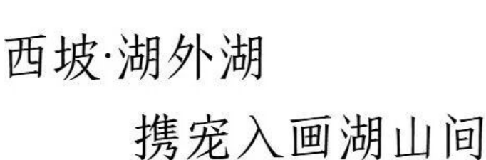 西坡·湖外湖,携宠入画湖山间 | 开启宠物友好新体验 西坡·湖外湖,携宠入画湖山间 | 开启宠物友好新体验