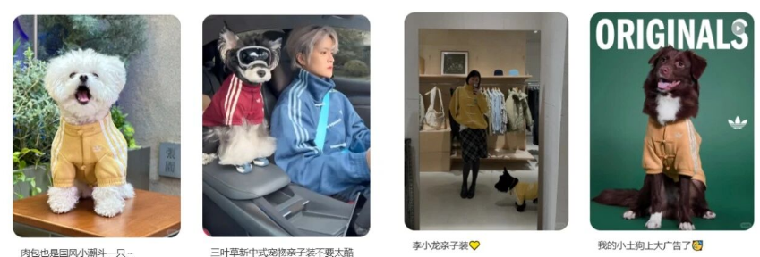 疯狂小狗发力：品牌如何借 “春节场景” 撬动宠物消费