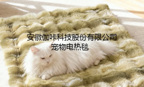 安徽伽咔科技股份有限公司怎么样 安徽伽咔科技股份有限公司怎么样
