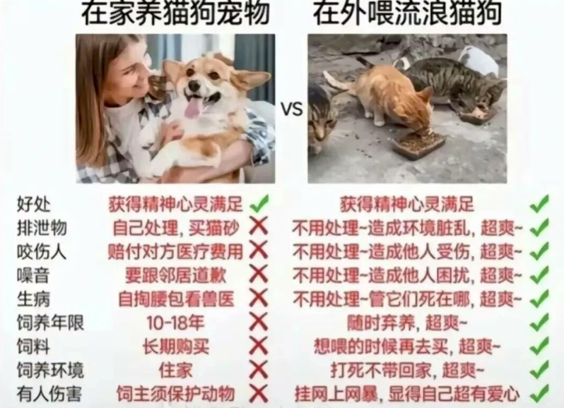 当“毛孩子”的代价由全社会买单，这真的是我们想要的发展吗？