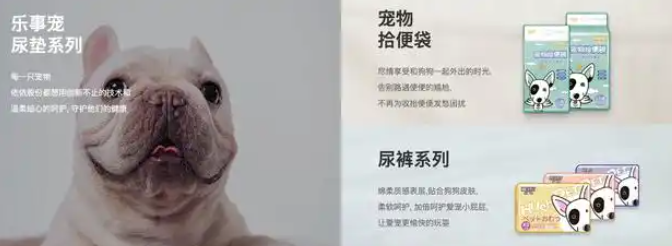 依依股份董事长高福忠：持续关注宠物用品行业并购整合机会