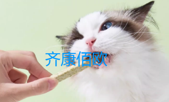齐康佰欧是正规公司吗
