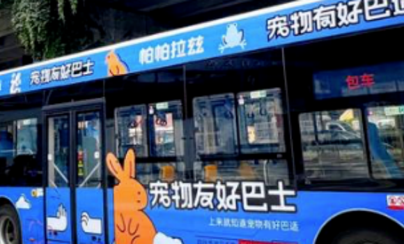 当3000万家庭带着毛孩子回家,谁在偷偷赚钱? 当3000万家庭带着毛孩子回家,谁在偷偷赚钱?