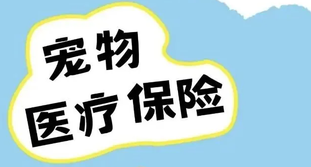 3000多亿“它经济”狂飙:中国宠物行业八大趋势解码 3000多亿“它经济”狂飙:中国宠物行业八大趋势解码