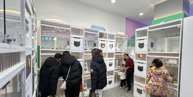 千平宠物商城日接待客流2万+,这位大厂前员工的“流量”新解 千平宠物商城日接待客流2万+,这位大厂前员工的“流量”新解