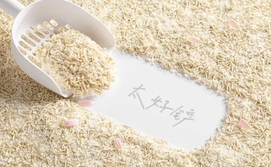 许翠花丨一只猫的如厕体验，撑起了一个头部品牌