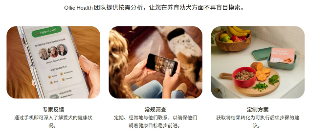 41.5亿元,开年最大宠业Agrolimen收购Ollie案来了 41.5亿元,开年最大宠业Agrolimen收购Ollie案来了