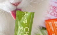 二人一物猫条一天吃多少合适