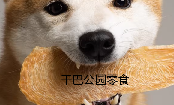 干巴公园零食适口性怎么样 干巴公园零食适口性怎么样
