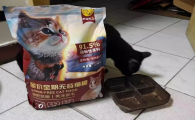 柠佳优宠属于什么档次