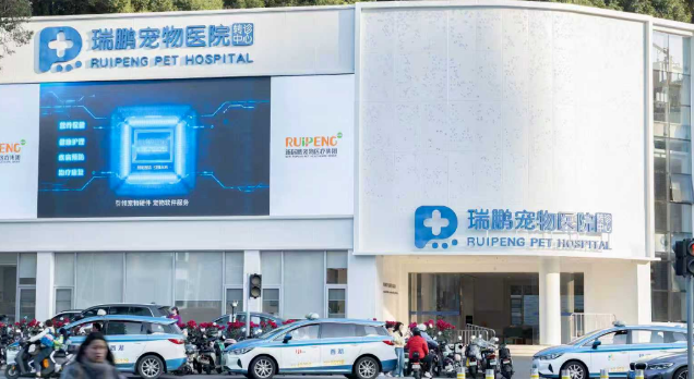 专访新瑞鹏:我们如何穿越周期,赢得“价值”的认可 专访新瑞鹏:我们如何穿越周期,赢得“价值”的认可