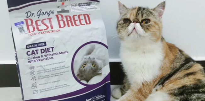 贝思比猫粮保质期一般多久