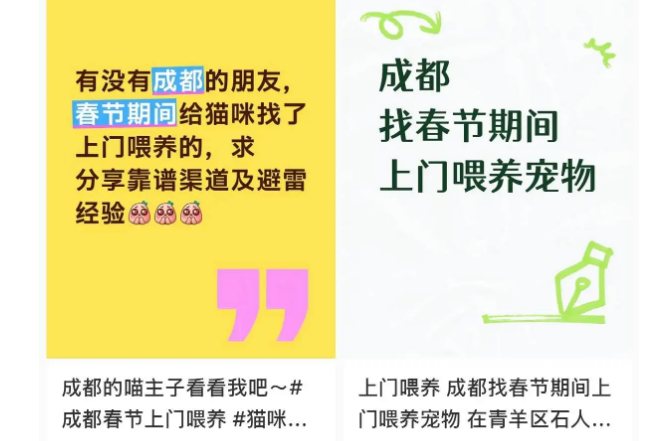 过年宠物怎么安置？这道团圆考题有了更多新答案