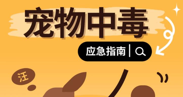 紧急避雷!这10种常见食物,对宠物竟是“致命毒药” 紧急避雷!这10种常见食物,对宠物竟是“致命毒药”