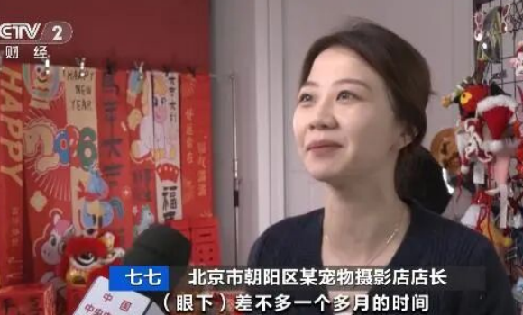 从年货清单到宠物春晚，为啥毛孩子过年更有氛围感
