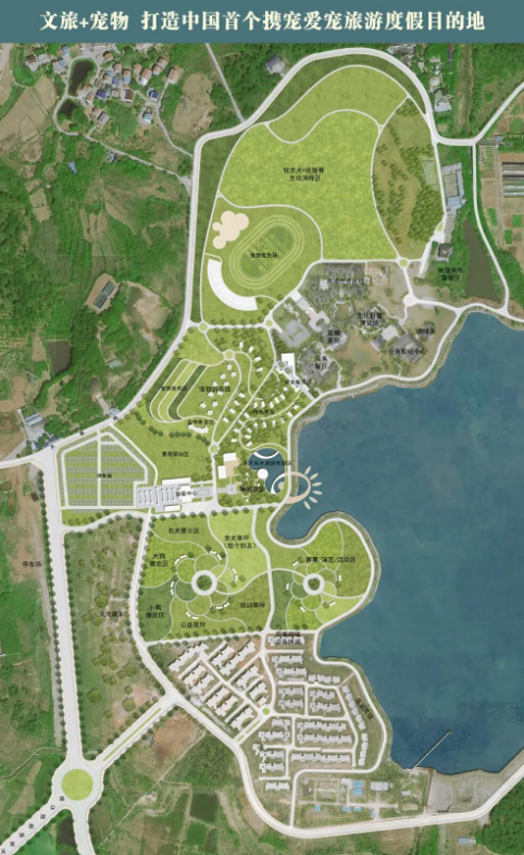 “它经济”升温，湖北孝感“文旅+宠物”撬动百亿级宠物产业