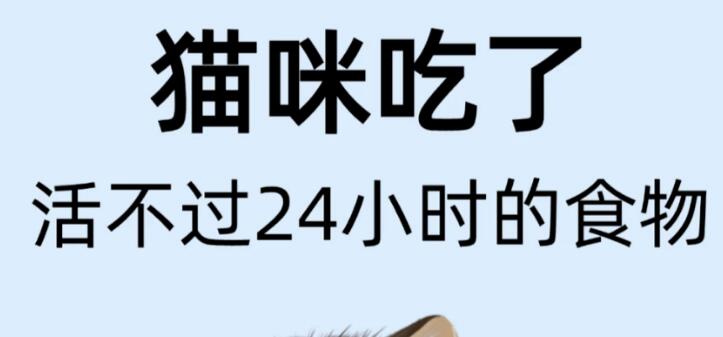紧急避雷!这10种常见食物,对宠物竟是“致命毒药” 紧急避雷!这10种常见食物,对宠物竟是“致命毒药”