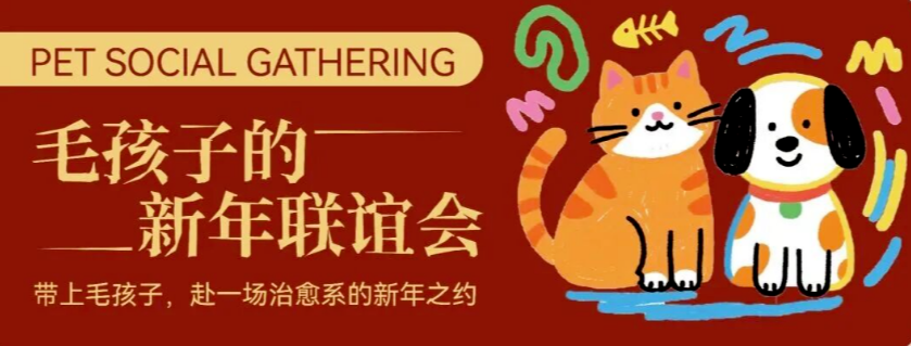 疯狂小狗发力：品牌如何借 “春节场景” 撬动宠物消费