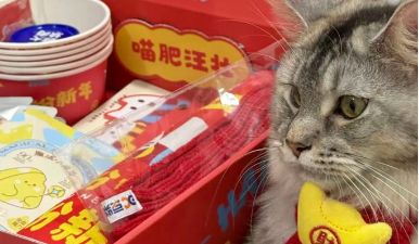 不谈促销只送温暖:拆解豆柴营销范例 不谈促销只送温暖:拆解豆柴营销范例