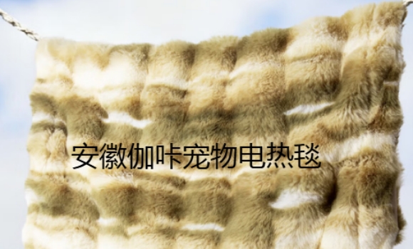 安徽伽咔是正规公司吗 安徽伽咔是正规公司吗
