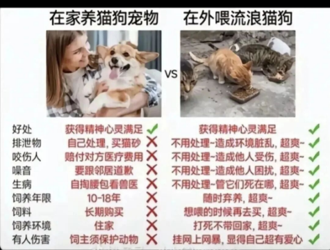 养宠人高素质的真不多!宠物滥养,将会成为严重问题 养宠人高素质的真不多!宠物滥养,将会成为严重问题