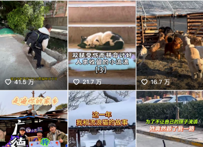 不谈促销只送温暖:拆解豆柴营销范例 不谈促销只送温暖:拆解豆柴营销范例