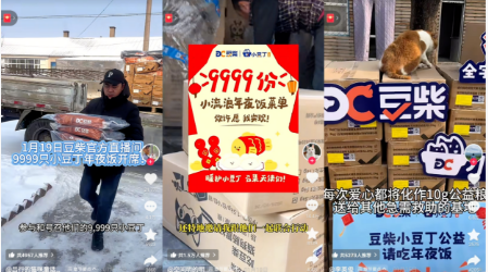 不谈促销只送温暖:拆解豆柴营销范例 不谈促销只送温暖:拆解豆柴营销范例