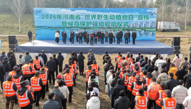 河南候鸟保护行动启动 康复鸟类重返蓝天
